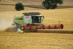 landwirtschaft