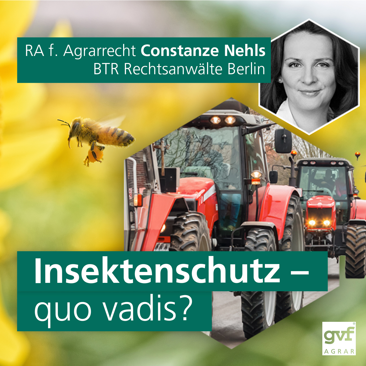 Insektenschutz – quo vadis? episode artwork