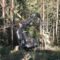 Waldförderung: SVLFG sieht erhöhtes Unfallrisiko im Wald