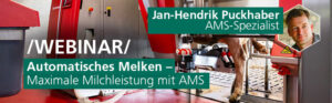 AMS